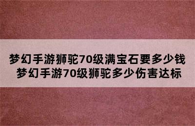 梦幻手游狮驼70级满宝石要多少钱 梦幻手游70级狮驼多少伤害达标